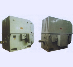 YTM系列磨煤机用三相异步电动机