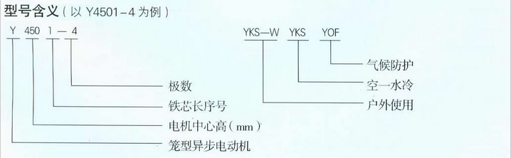 Y系列中型高压三相异步电动机